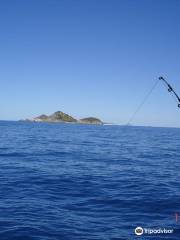 Holbourne Island National Park