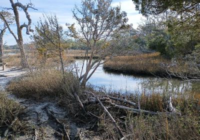 Theodore Roosevelt Natural Area