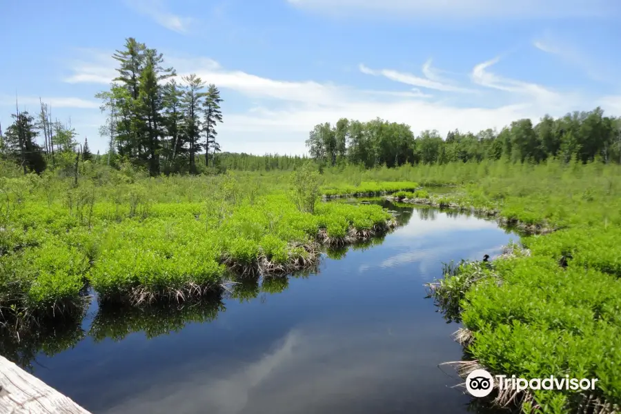 Bearskin State Trail