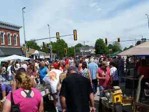 Litchfield Pickers Market