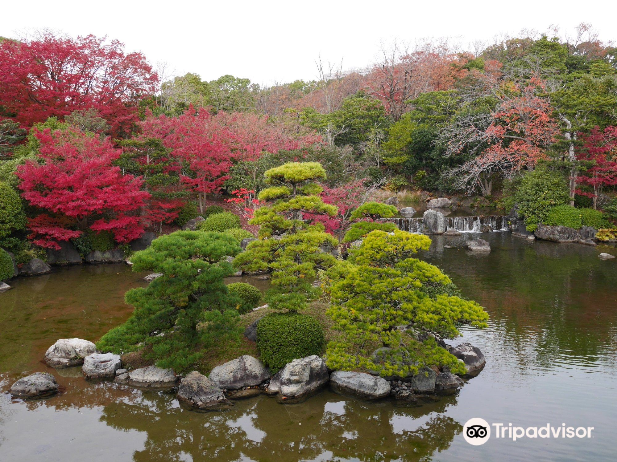 大阪 万博記念公園 入場Eチケット 予約
