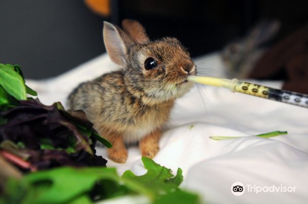 Best Friends Animal Sanctuary