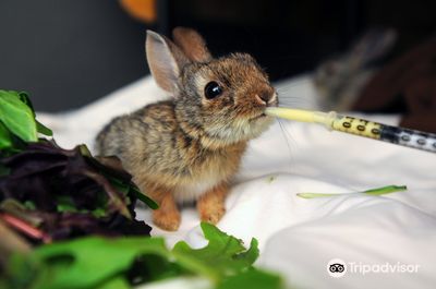 Best Friends Animal Sanctuary