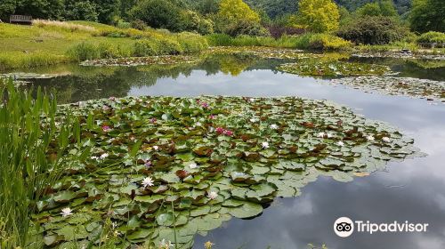 Les Jardins d'Eau