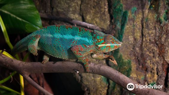Aquarium River of Zaragoza