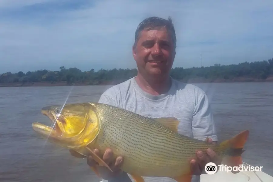 Pesca Dorados