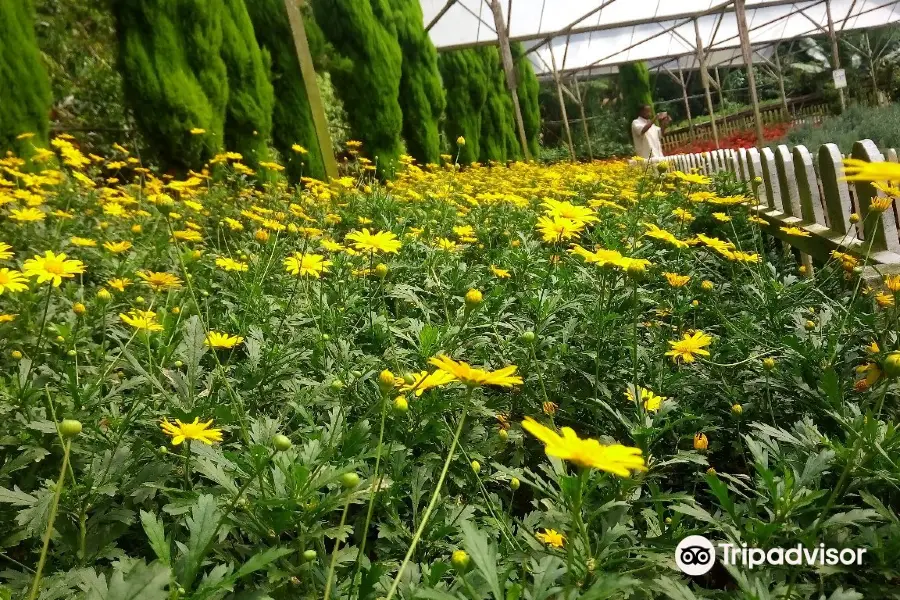 Genting Strawberry Leisure Farms