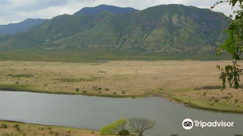 Mkomazi National Park