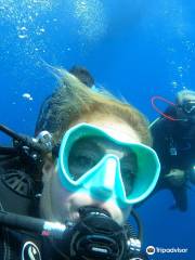 Trigone Diving School