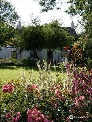 Ballyrobert Cottage Garden and Nursery