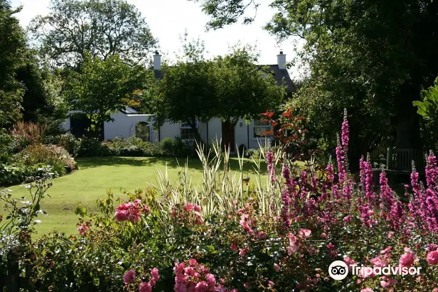 Ballyrobert Cottage Garden and Nursery