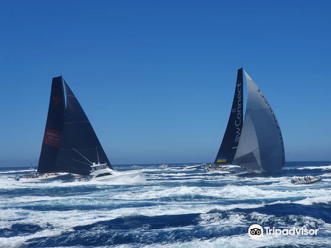 4_Go Whale Watching Sydney