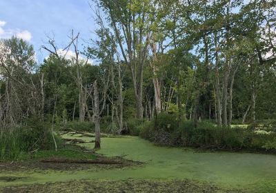 Eagle Marsh Nature Preserve