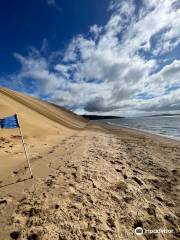 Hokianga Express Charters