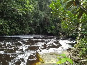 Cachoeira do Santuario