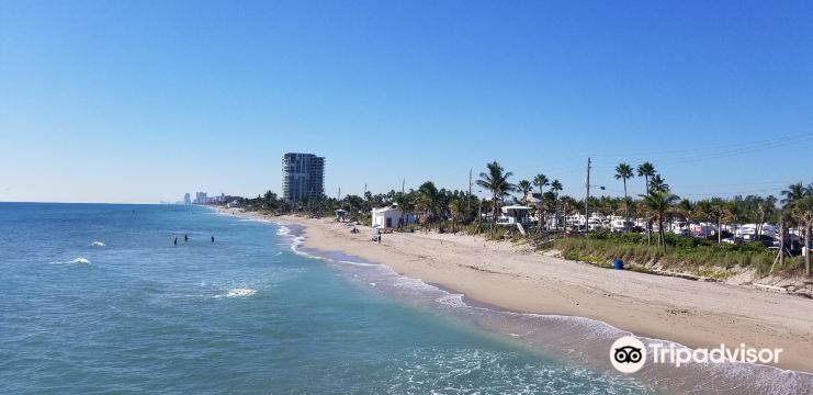 Dania Beach