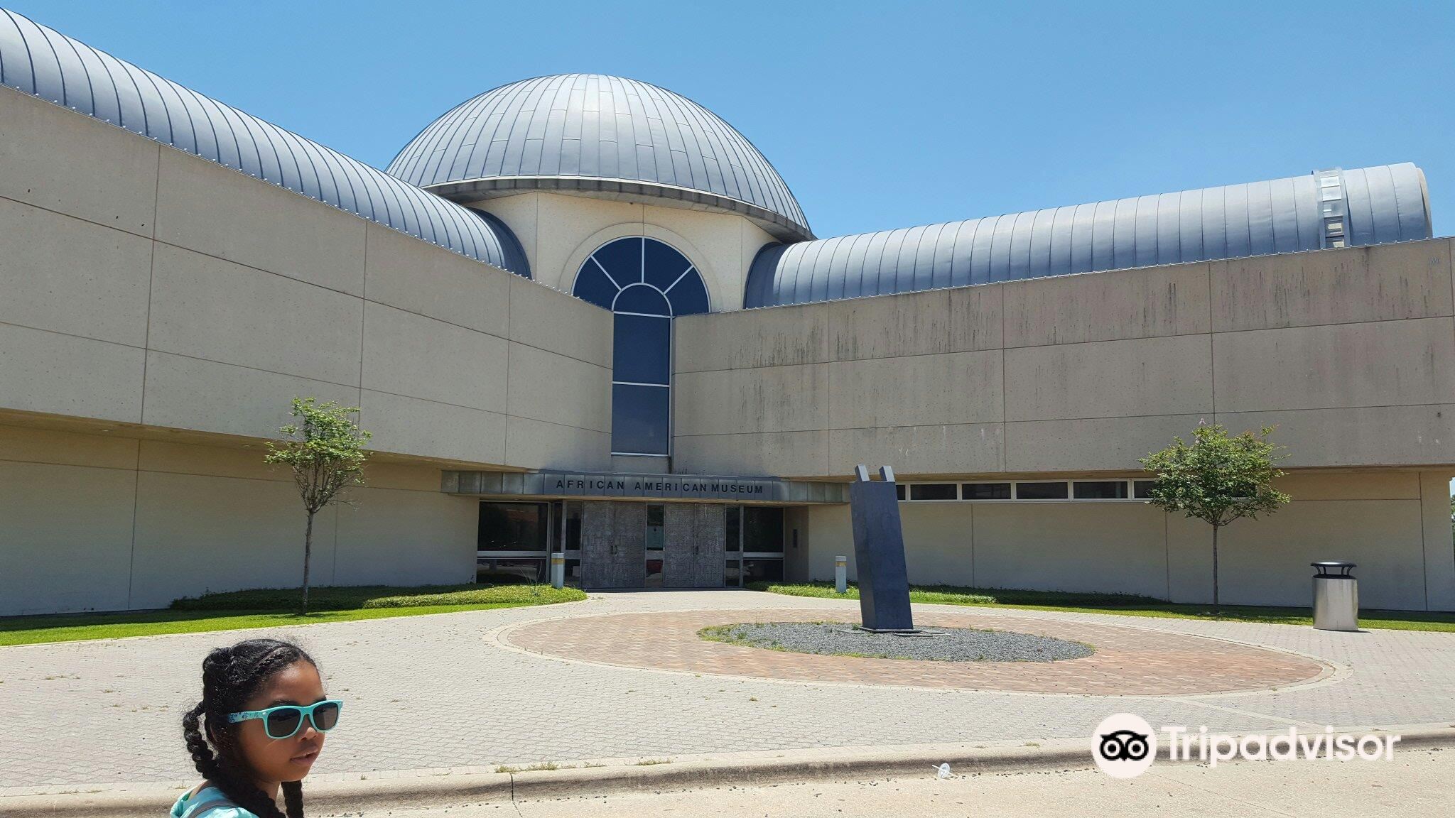 最新】アフリカン・アメリカン・ミュージアム・オブ・ダラス