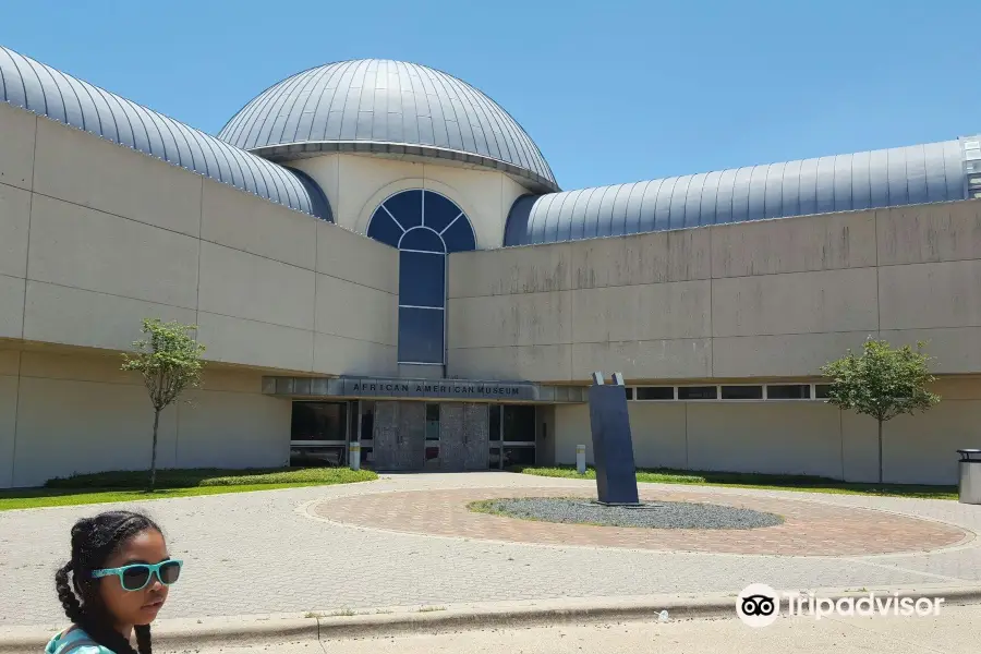 African American Museum of Dallas