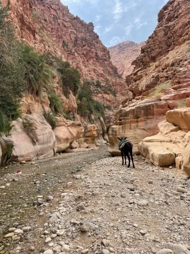 Tafiela Qasabah District