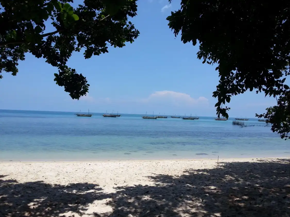 Hotel dekat Pantai Bukit Berahu