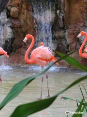 Acuario Mazatlan