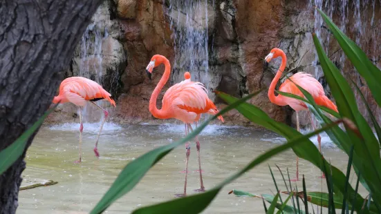 Mazatlan Aquarium