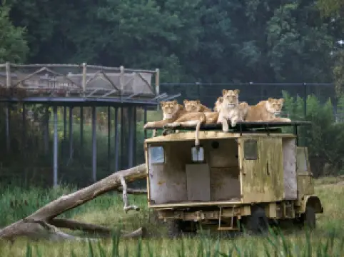 Parc Safari de Beekse Bergen