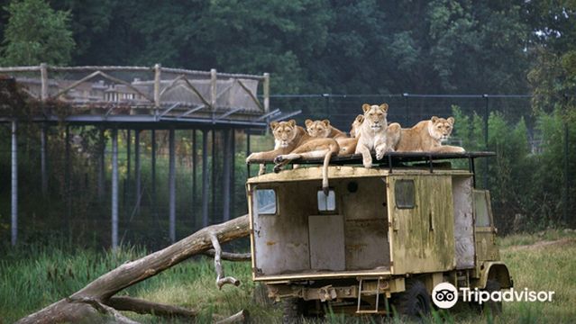 Beekse Bergen Safari Park