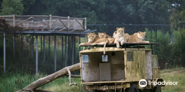 貝克塞·貝爾亨野生動物園