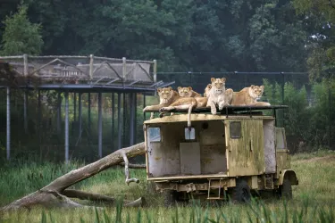 Beekse Bergen Safari Park