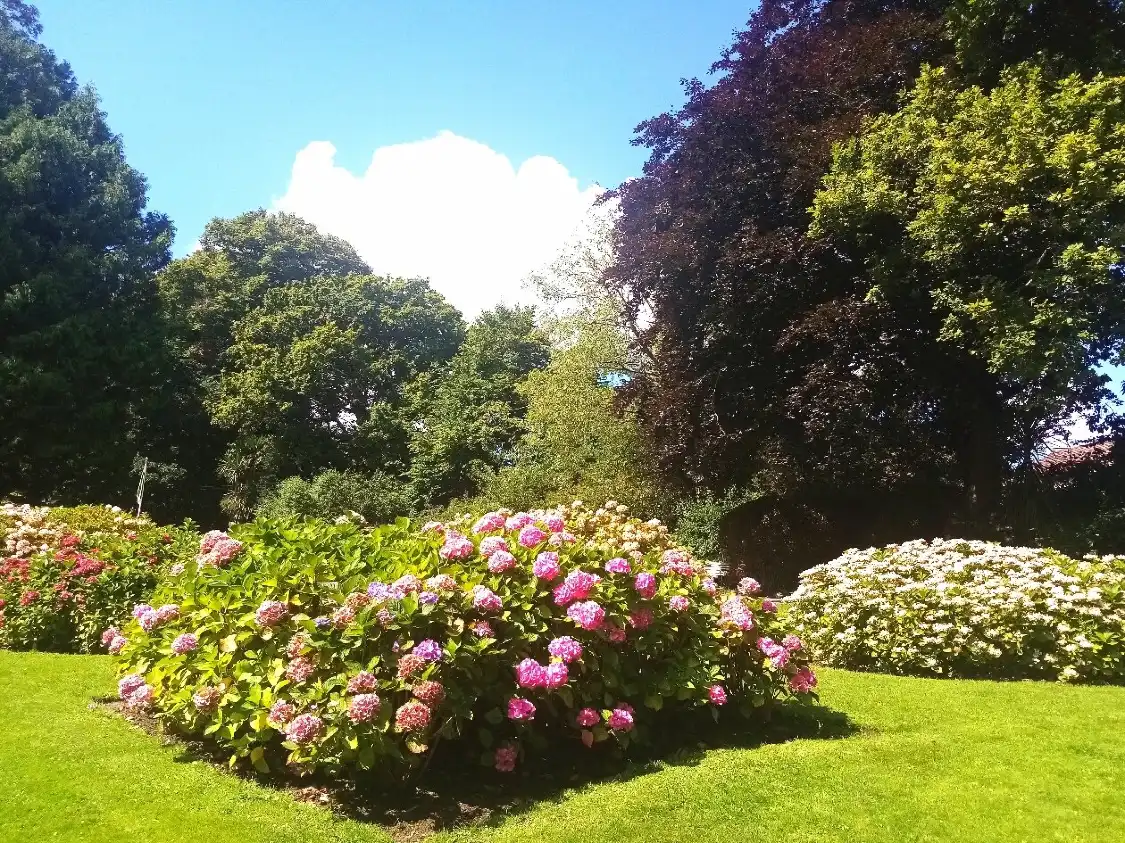 Hotels near Brynmill Park