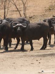 Parque Nacional de Baja Zambezi