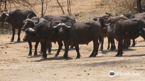 Lower Zambezi National Park