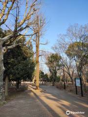 Parque Kiyosumi