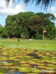 Parque Nacional do Pantanal Matogrossense