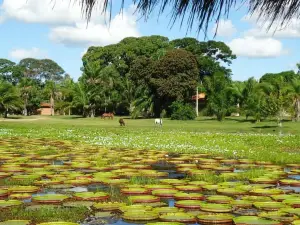 Parque Nacional do Pantanal Matogrossense