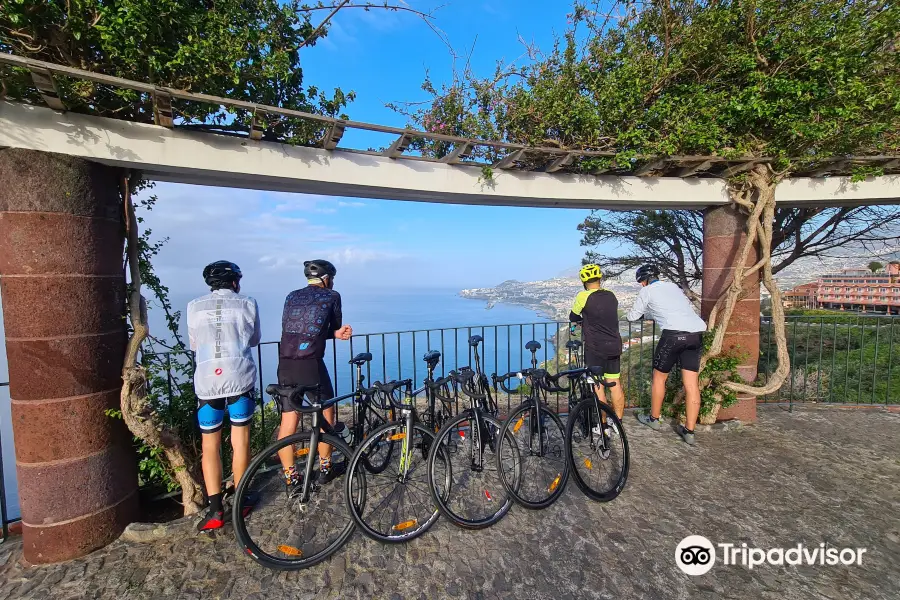 Happy Bikes