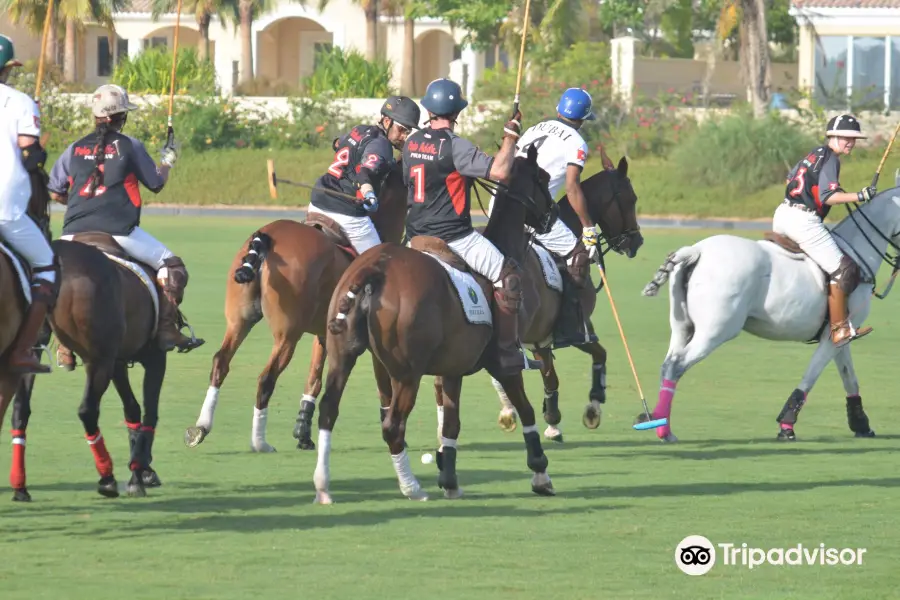 Dubai Polo Academy