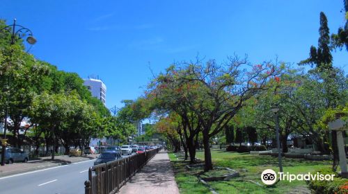 Kota Kinabalu City Park