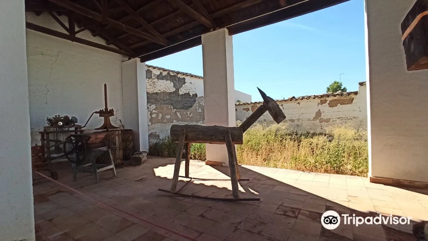 5_Museo-Casa de Dulcinea Del Toboso