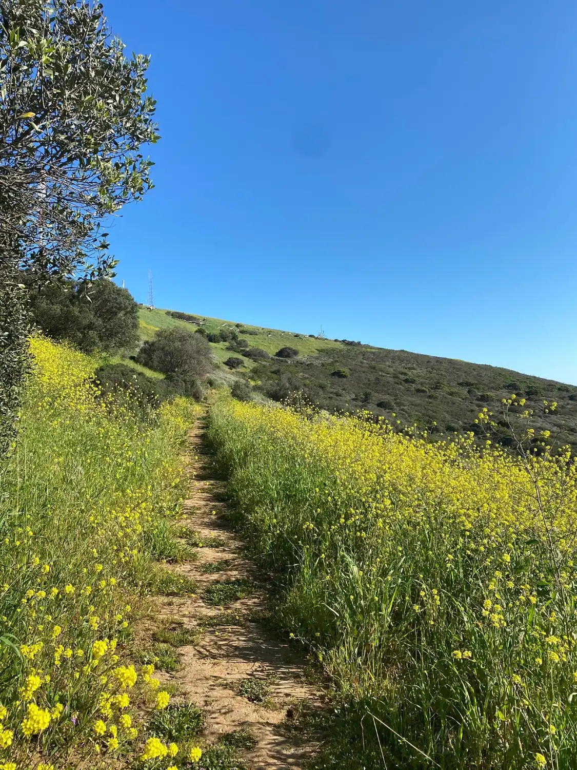 Hotels near Tygerberg Nature Reserve