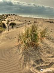 Espiguette Beach