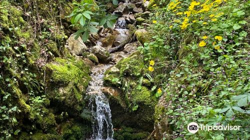 Apuseni Natural Park