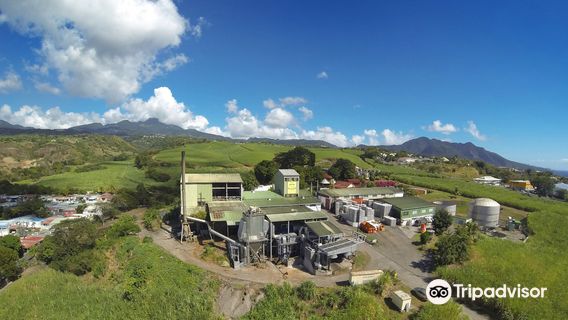 Rum Distillery Bologne