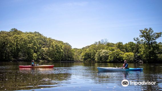 New Forest Activities (Office)