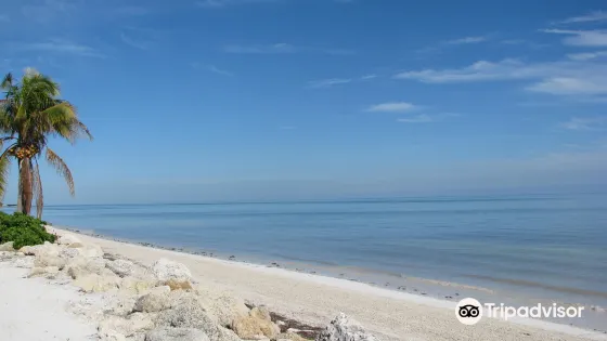 Coco Plum Beach