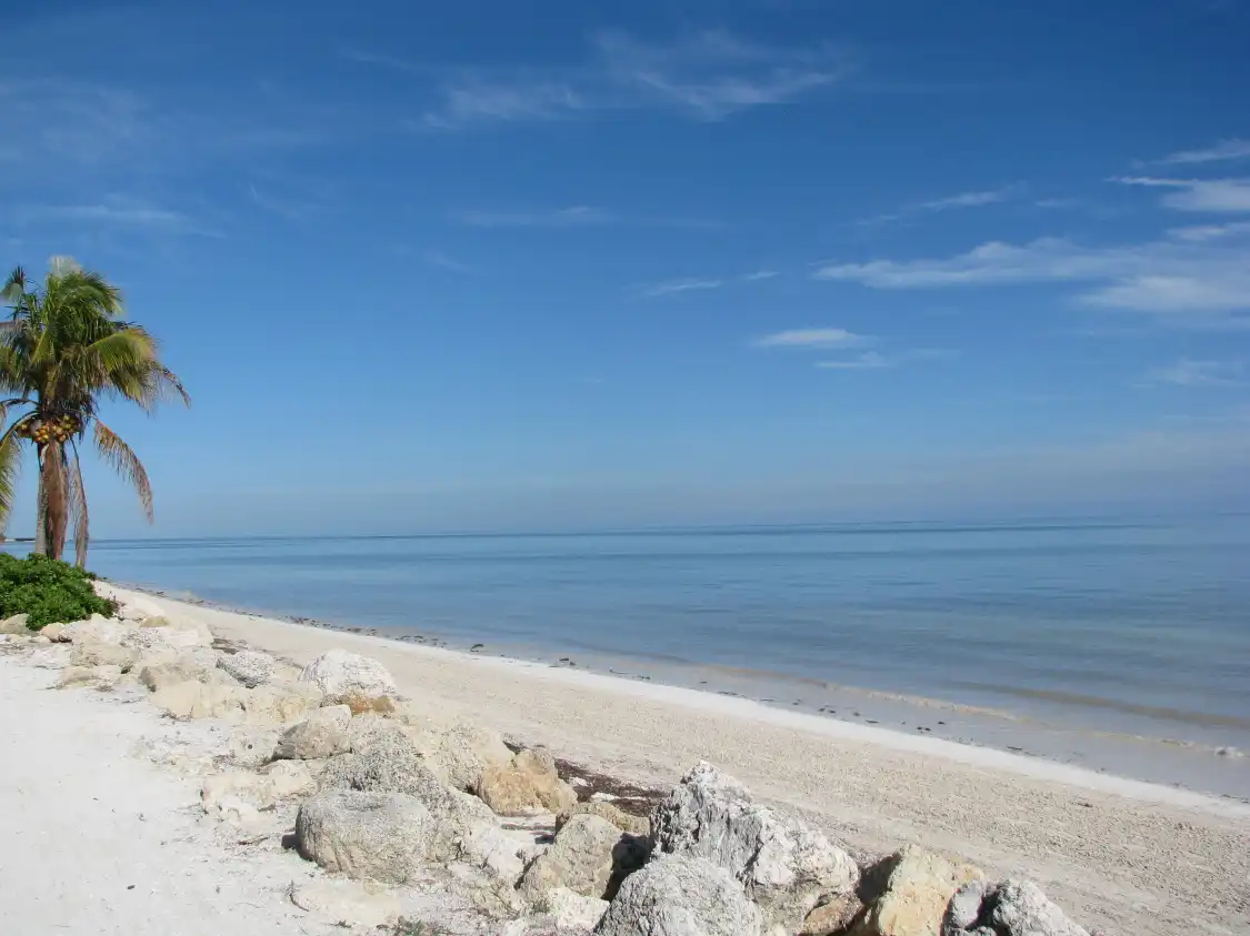 Hotels near Coco Plum Beach