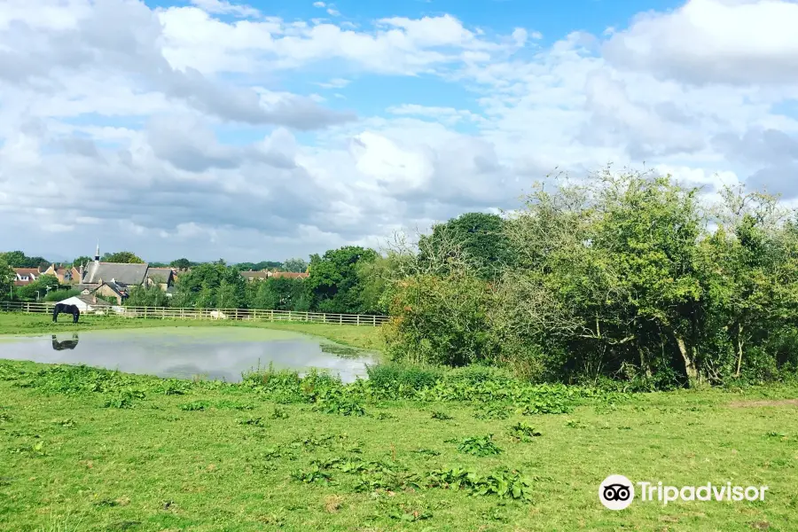 Mawdesley Jubilee Trail