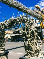 World's Largest Elkhorn Arch