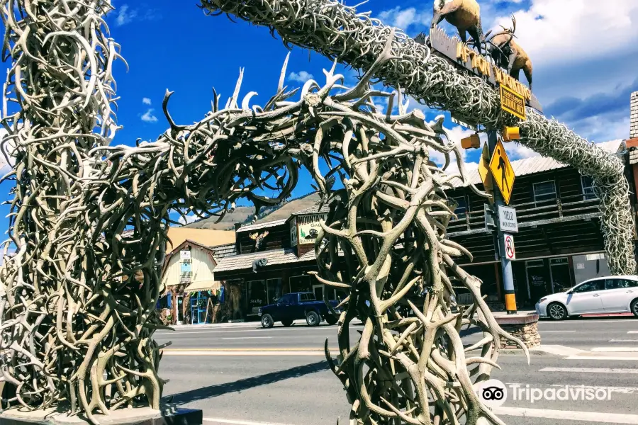 World's Largest Elkhorn Arch